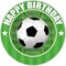 Soccer Edible Cake Topper Icing Image fits 8 inch round or larger cake
